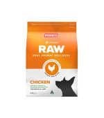 Hunger for Words Talking Pet Starter Set - Imagem 2