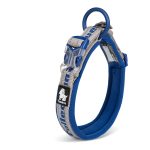 Dog Collar Harness Large Dog Training - Imagem 3