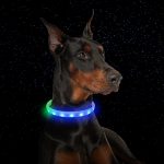 Flash Collar For Dogs USB Charging Anti-Lost Silicone Necklace Pet Products - Imagem 3