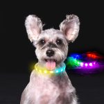 Flash Collar For Dogs USB Charging Anti-Lost Silicone Necklace Pet Products