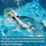 Interactive Dog Football Toy Soccer Ball Inflated Training Toy For Dogs Outdoor Border Collie Balls For Large Dogs Pet Supplies - Imagem 9