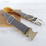 Original New Dog Collar Retractable Dog Leaning Dog Collar Original new dog collar retractable dog leaning dog collar - Imagem 10