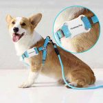 Smart Pet Cat Dog GPS Locator - Imagem 2