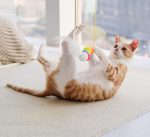 Cat Toys Simulated Cute Toys Funny Self-hey Interactive Toy Rope Grabbing Mouse Telescopic Hanging Cat Pet Supplies - Imagen 3