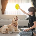 Dog Toys Durian Chew Glue Ball Pet Chewing Toys Dog Tooth Grinding Stick Very Resistant To Biting Teeth Cleaning Balls Puppy Dog Pet Safety Chew Toys Bite-Resistant Puppy Shape Durable Durian - Imagem 2