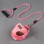 Dog leash dog leash dog collar - Imagem 5