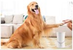 Pet electric foot washer - Imagen 4