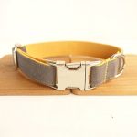 Original New Dog Collar Retractable Dog Leaning Dog Collar Original new dog collar retractable dog leaning dog collar - Imagem 6