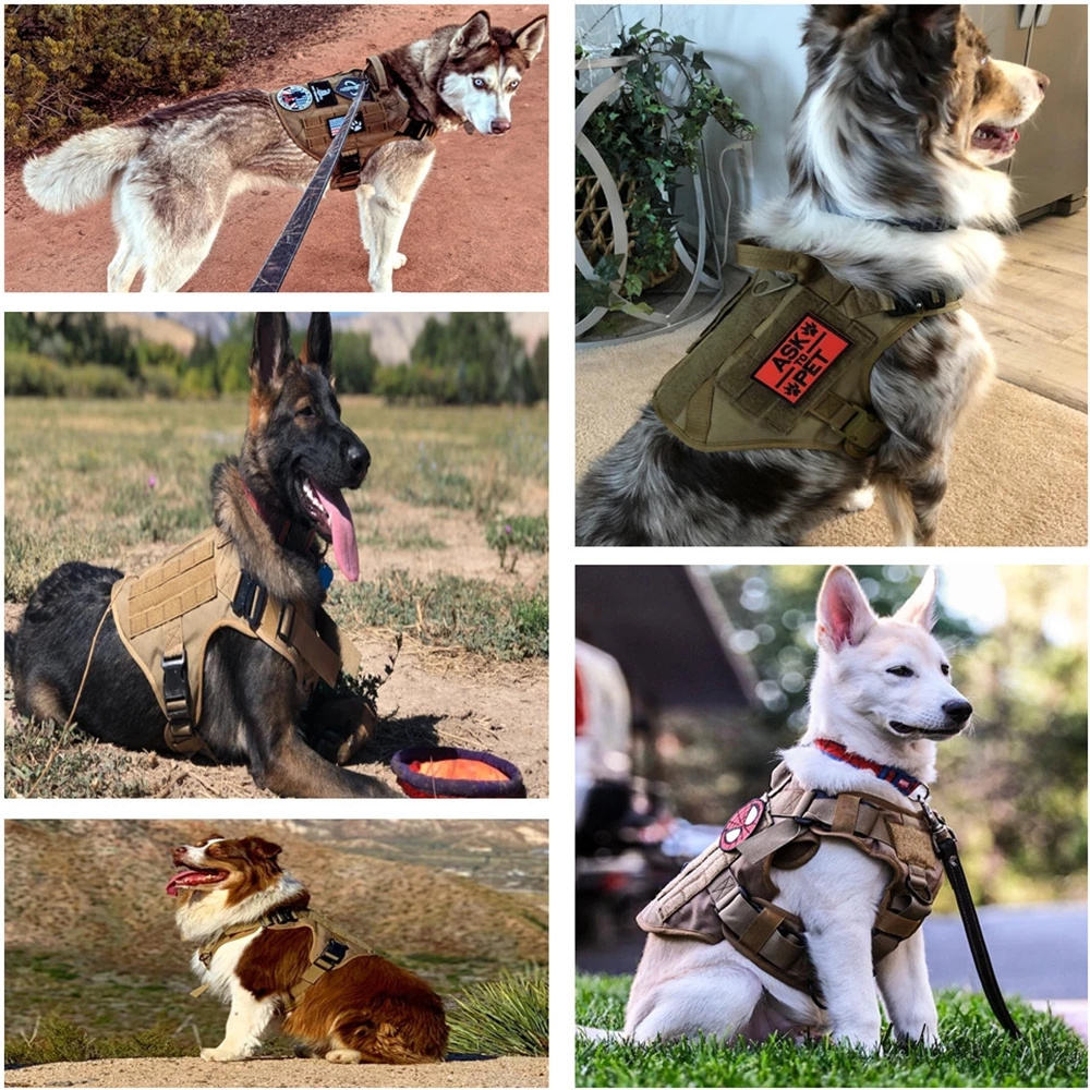 Pet Harness Luxury Dog Leash Set Chest Dog 1000D Nylon Camouflage Dog Harness - Image 5