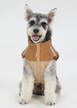 Pet clothes autumn and winter waterproof reflective dog cotton coat can pull big dog clothes pet clothes - Imagen 4