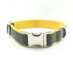 Original New Dog Collar Retractable Dog Leaning Dog Collar Original new dog collar retractable dog leaning dog collar - Imagem 8