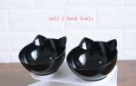 New Inclined Food Cat Ear Oblique Mouth Transparent Single Pet Bowl - Imagem 7