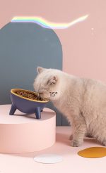 Cat Dog Bowl With Stand Pet Feeding Food Bowls Dogs Bunny Rabbit Nordic Color Feeder Product Supplies Pet Accessories - Imagem 7