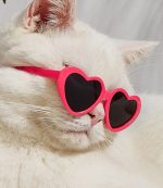 Doll Sunglasses Pet Toy Accessories - 画像 (5)